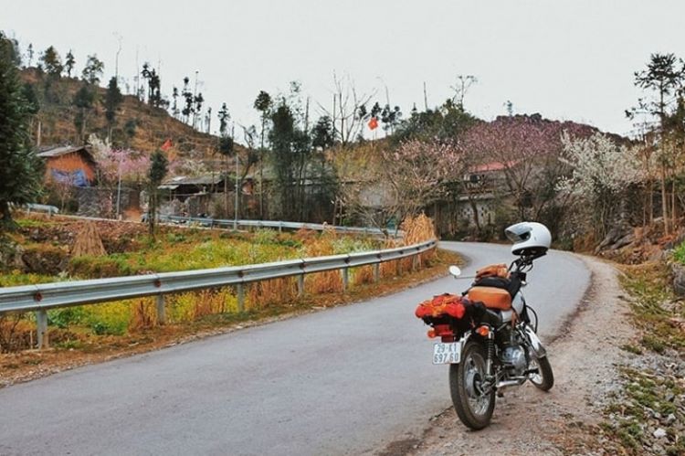 Xe Nội Bài Lạng Sơn